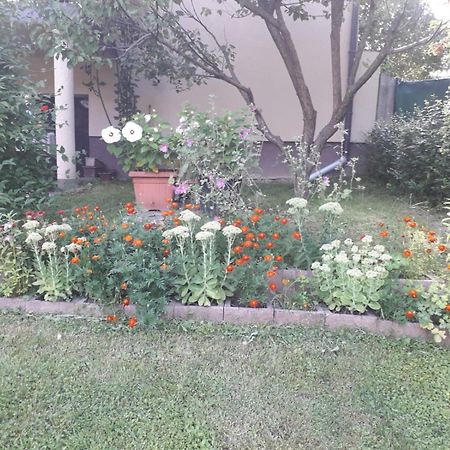 Villa Kuca Za Odmor Bajtica Jesenovec Exterior foto