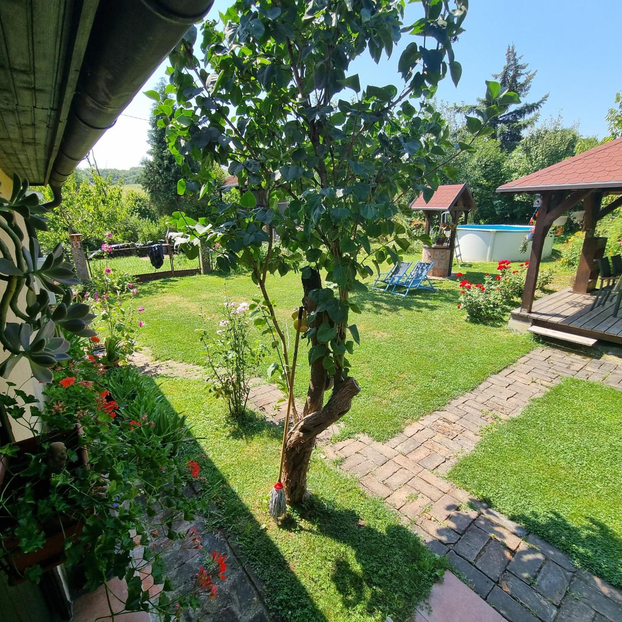 Villa Kuca Za Odmor Bajtica Jesenovec Exterior foto