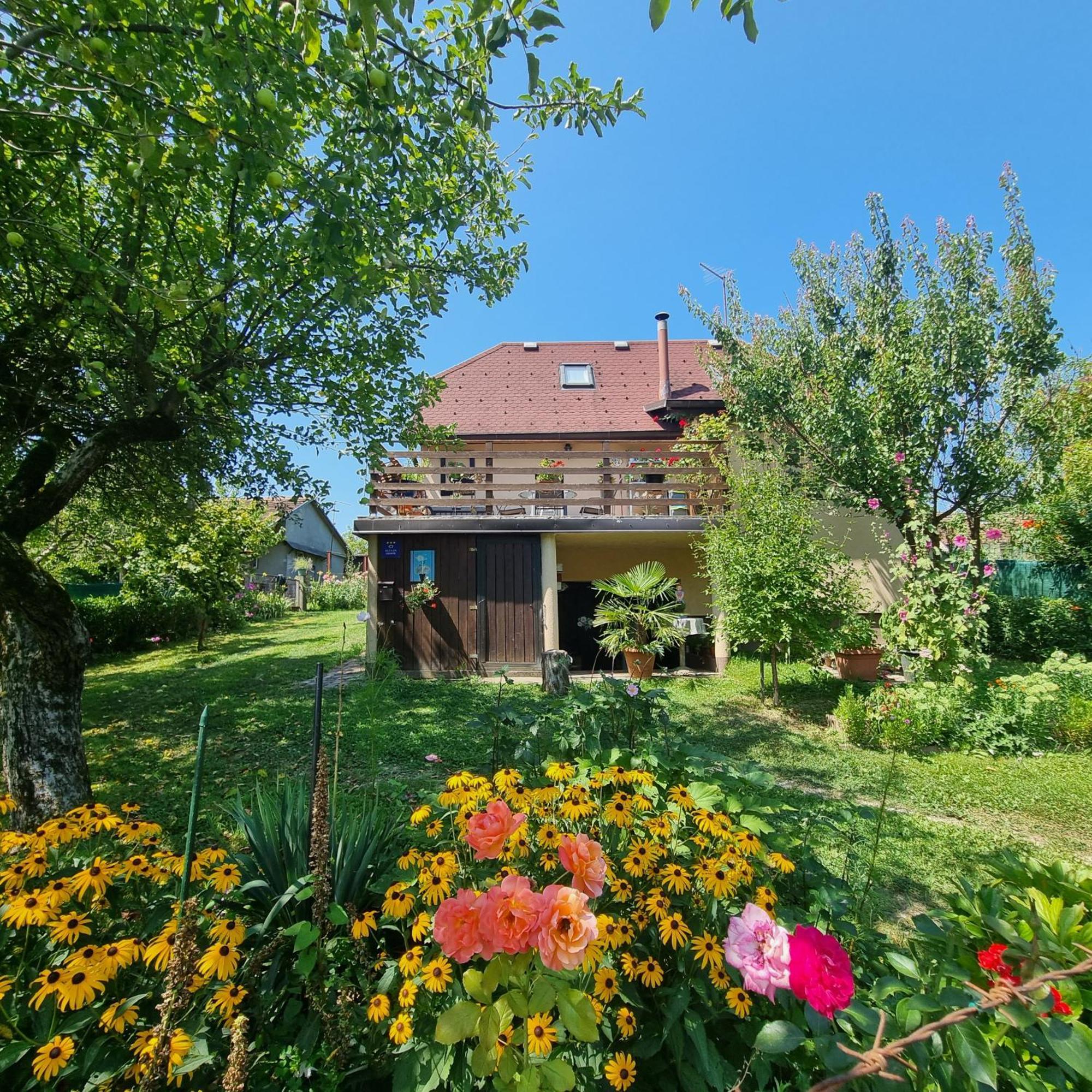 Villa Kuca Za Odmor Bajtica Jesenovec Exterior foto