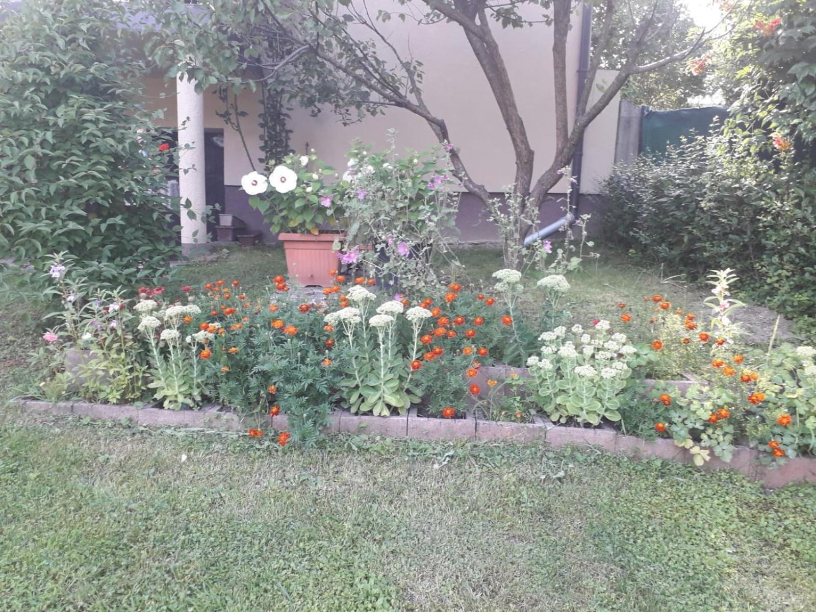 Villa Kuca Za Odmor Bajtica Jesenovec Exterior foto