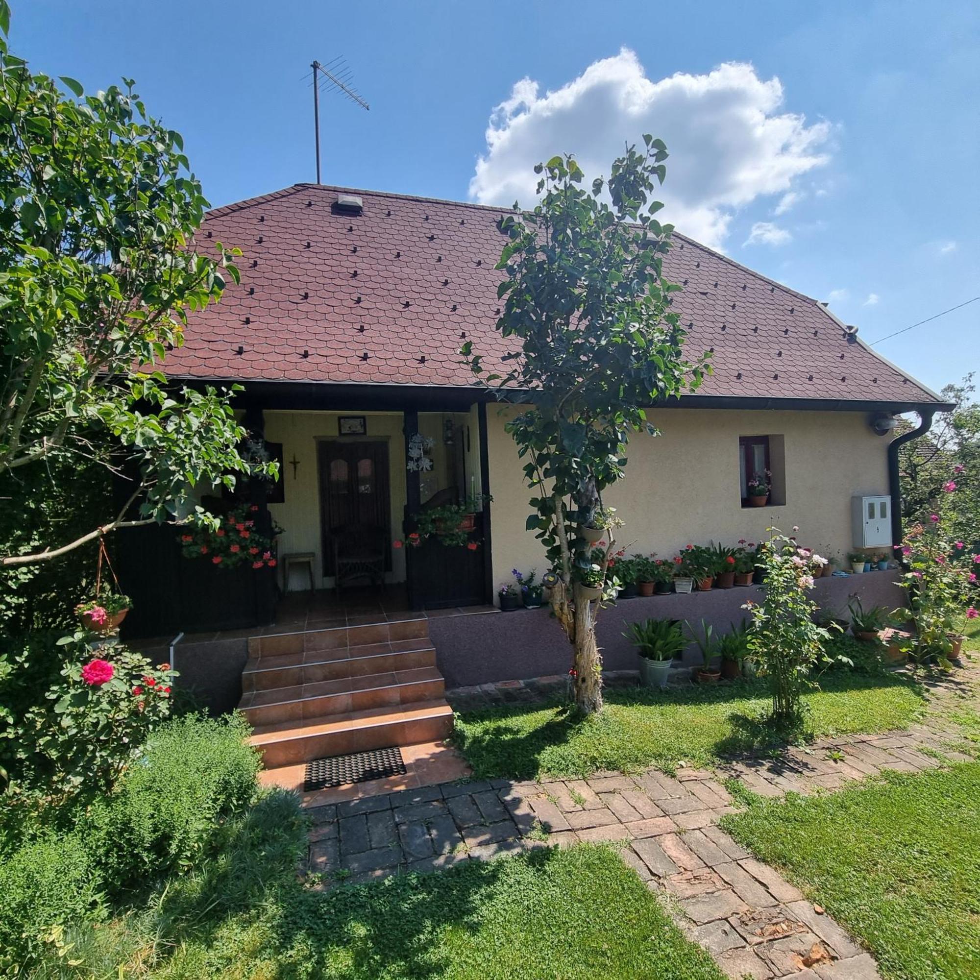 Villa Kuca Za Odmor Bajtica Jesenovec Exterior foto